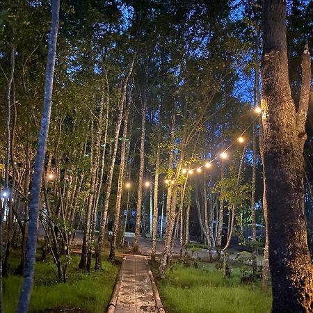 Boker Tov Pucon Hotel Buitenkant foto