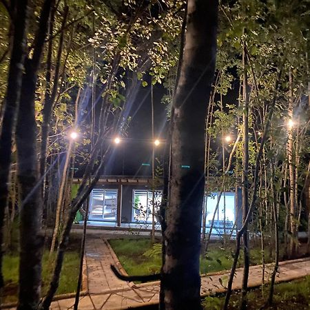 Boker Tov Pucon Hotel Buitenkant foto