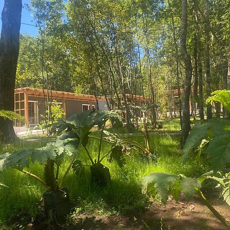 Boker Tov Pucon Hotel Buitenkant foto
