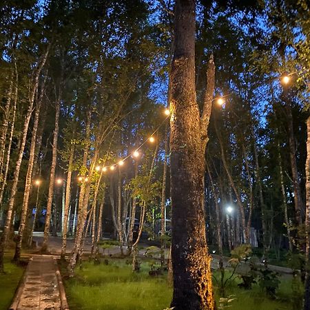 Boker Tov Pucon Hotel Buitenkant foto