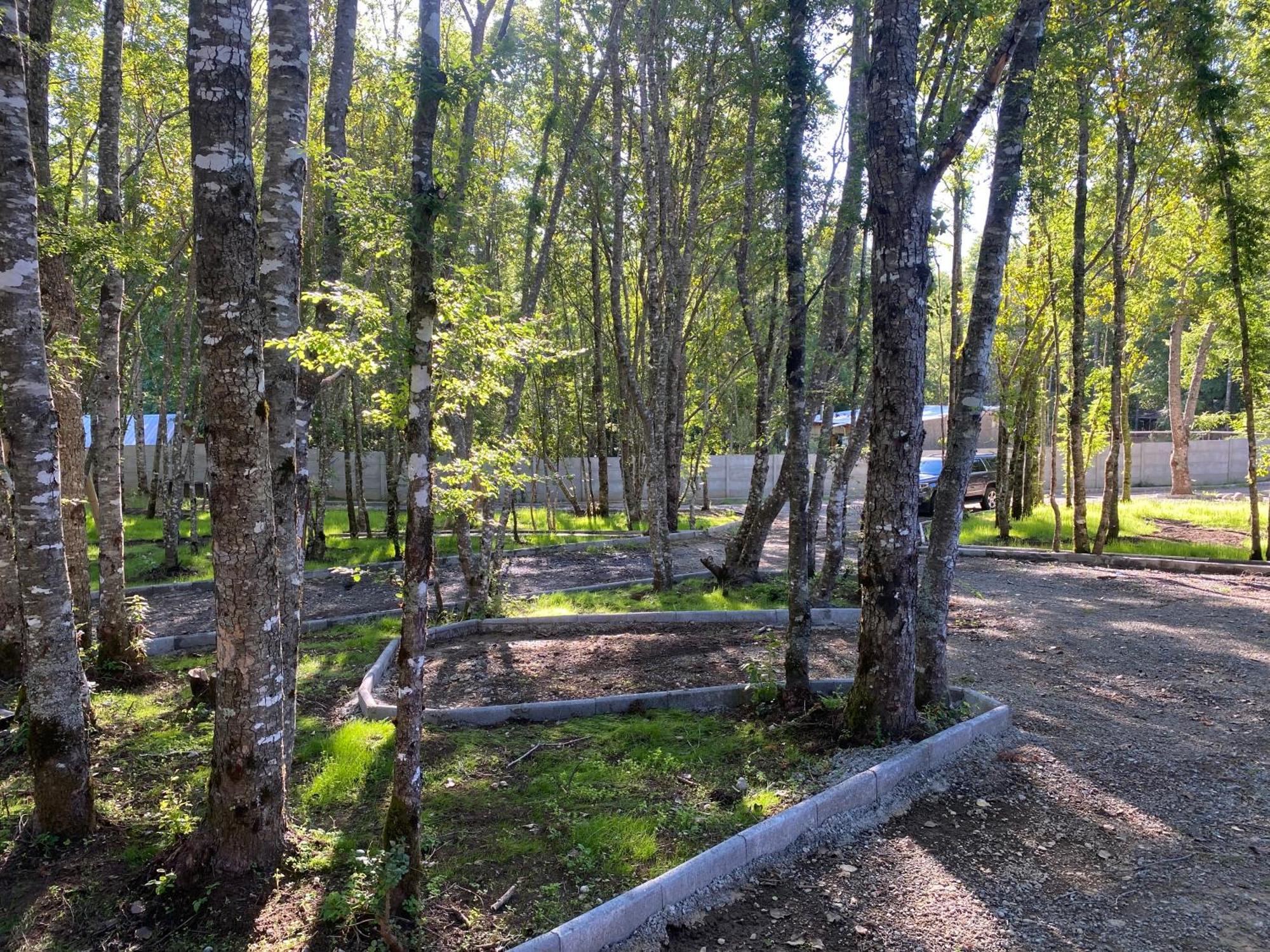 Boker Tov Pucon Hotel Buitenkant foto