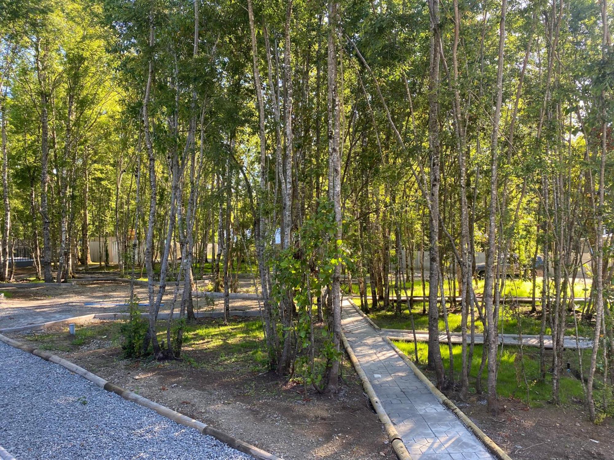 Boker Tov Pucon Hotel Buitenkant foto