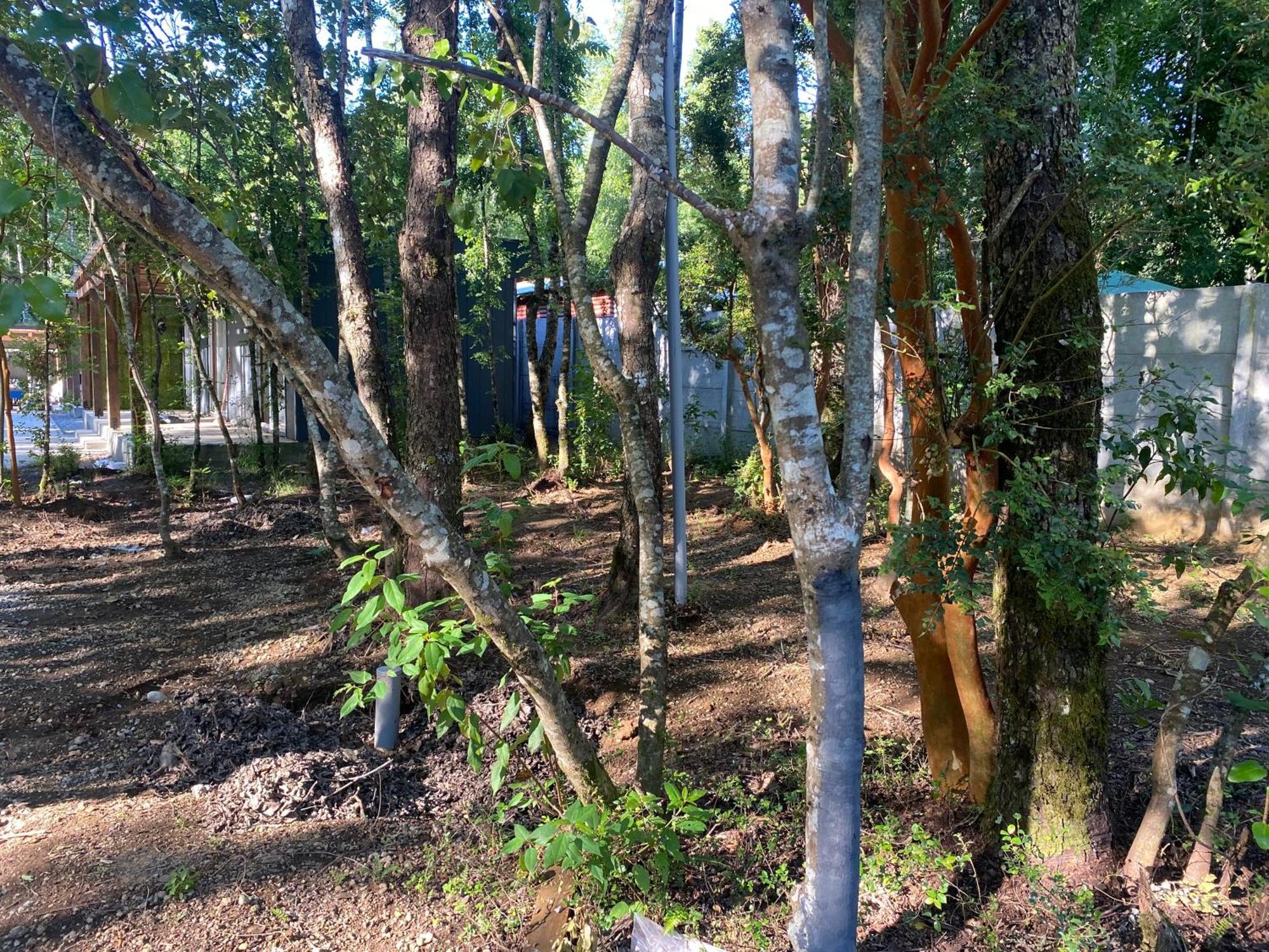 Boker Tov Pucon Hotel Buitenkant foto
