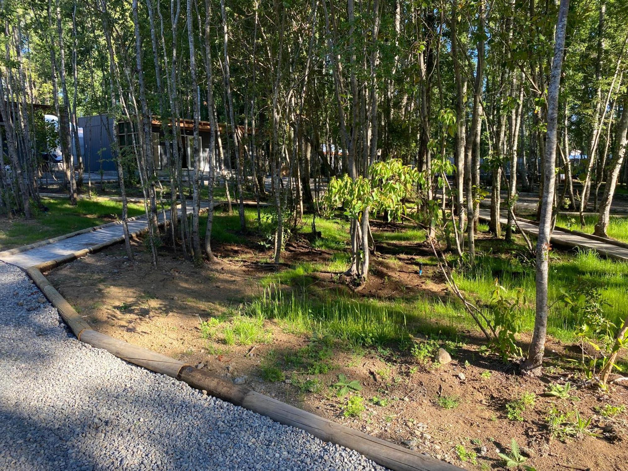 Boker Tov Pucon Hotel Buitenkant foto