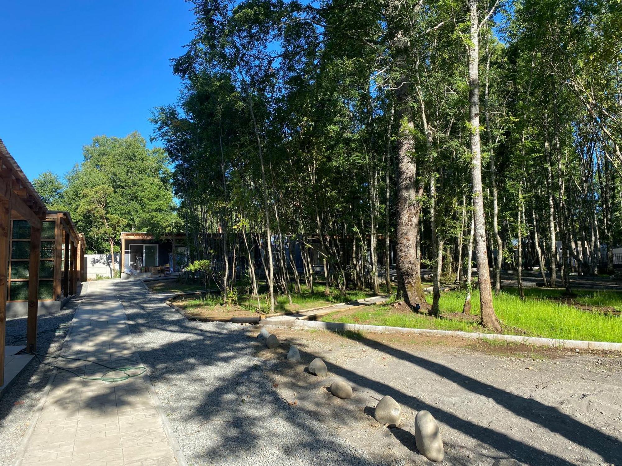 Boker Tov Pucon Hotel Buitenkant foto