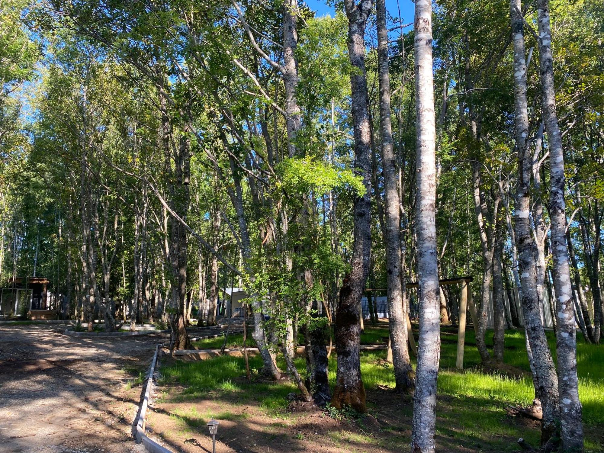 Boker Tov Pucon Hotel Buitenkant foto