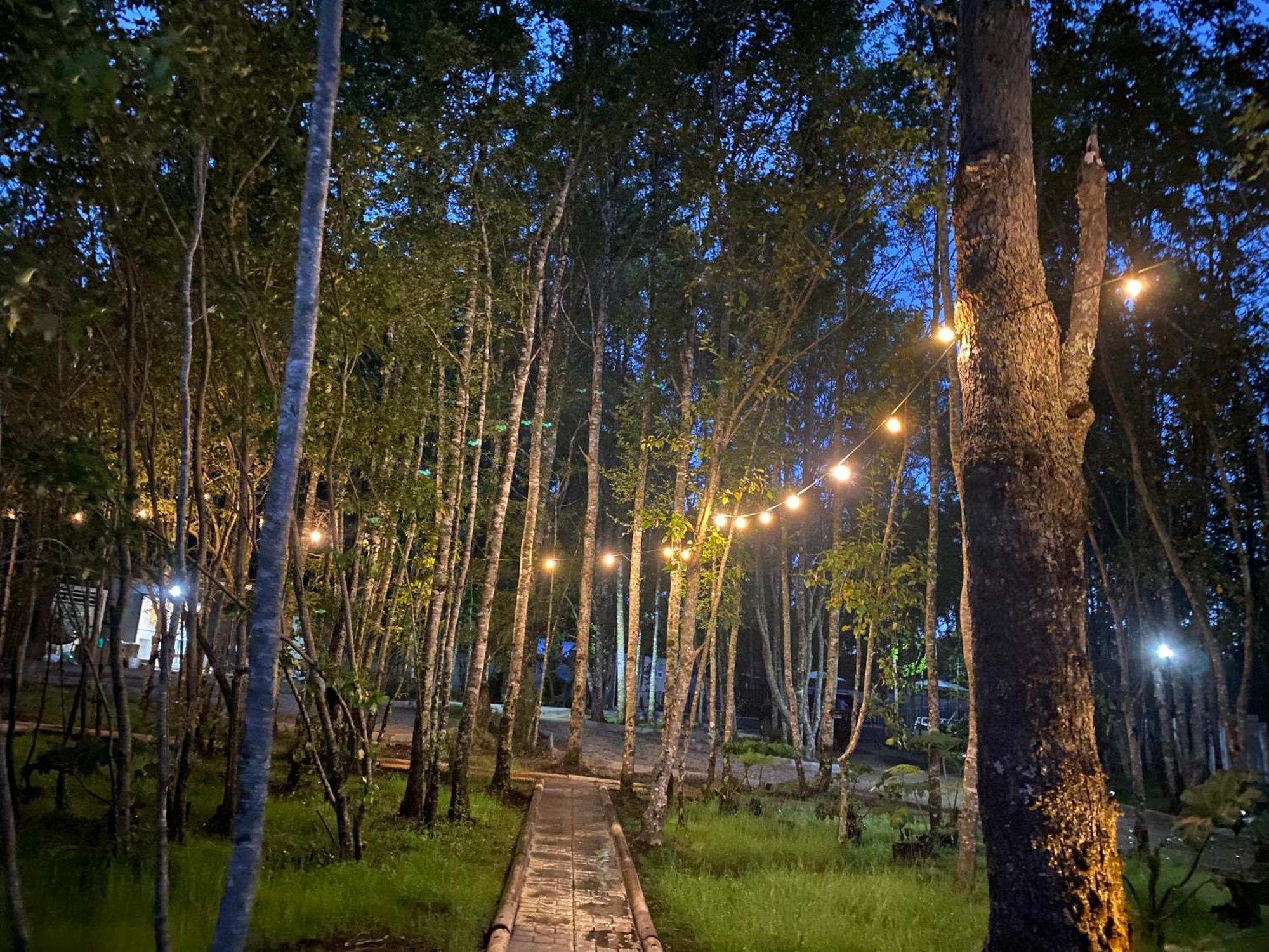 Boker Tov Pucon Hotel Buitenkant foto