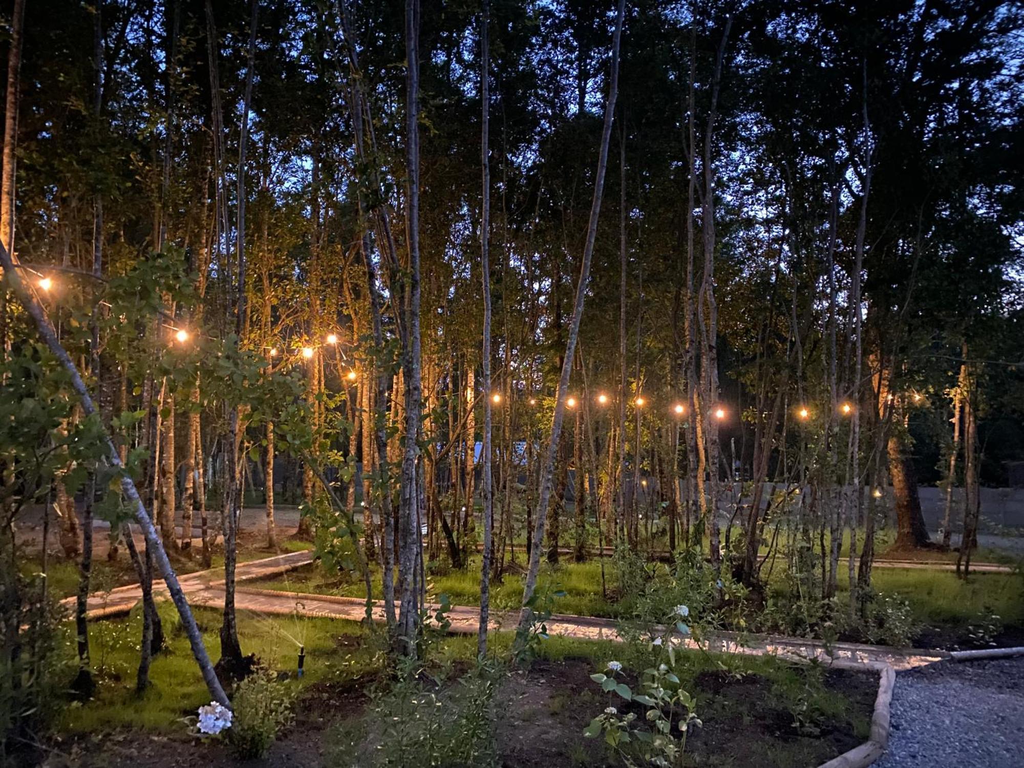 Boker Tov Pucon Hotel Buitenkant foto