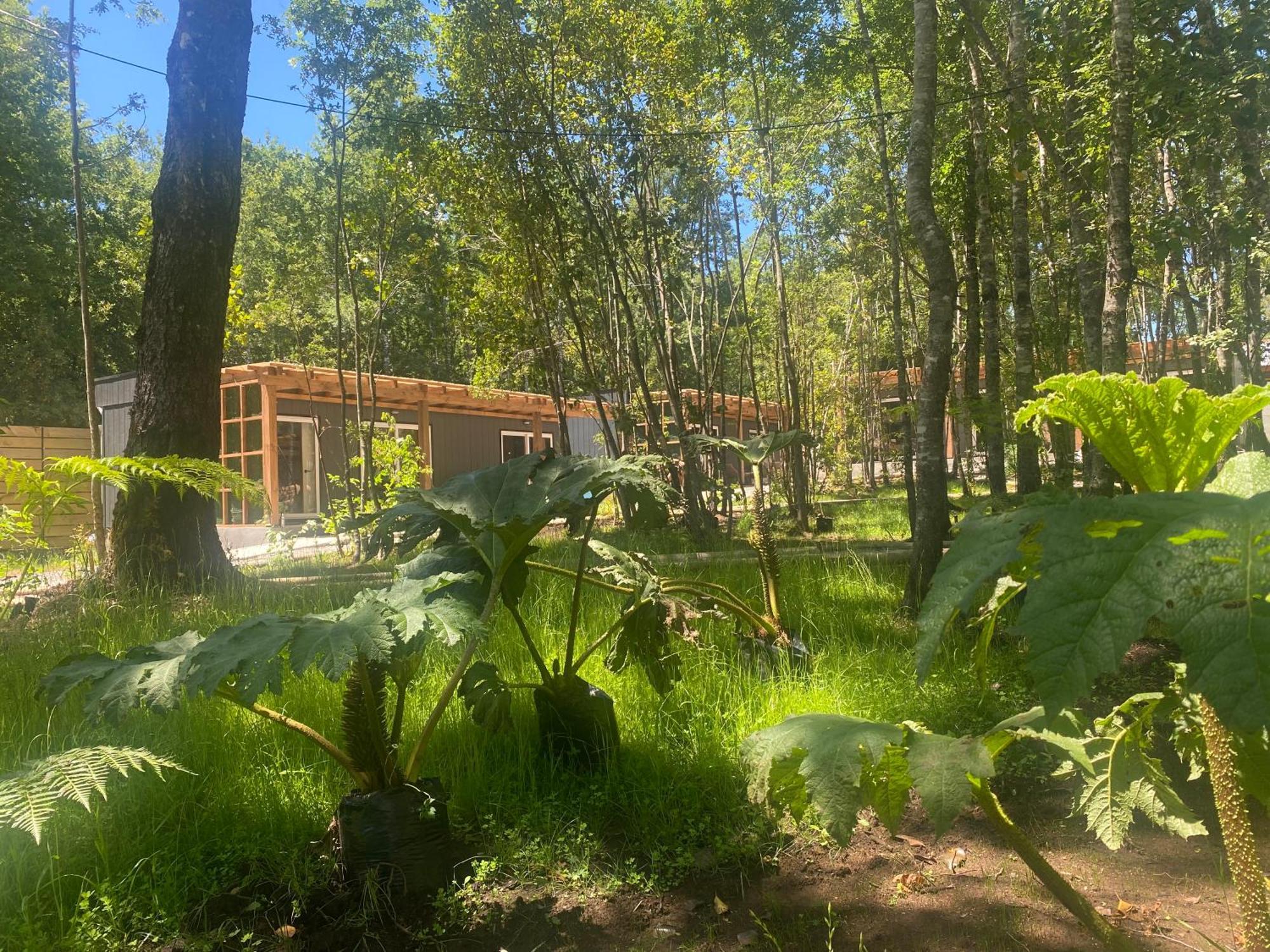 Boker Tov Pucon Hotel Buitenkant foto