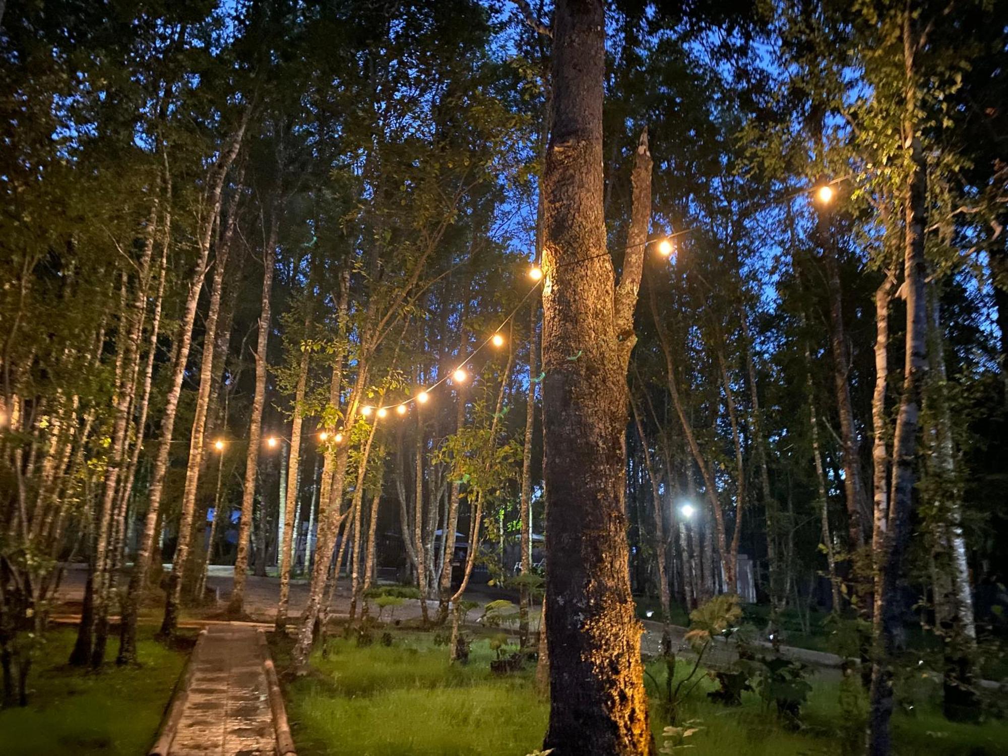 Boker Tov Pucon Hotel Buitenkant foto