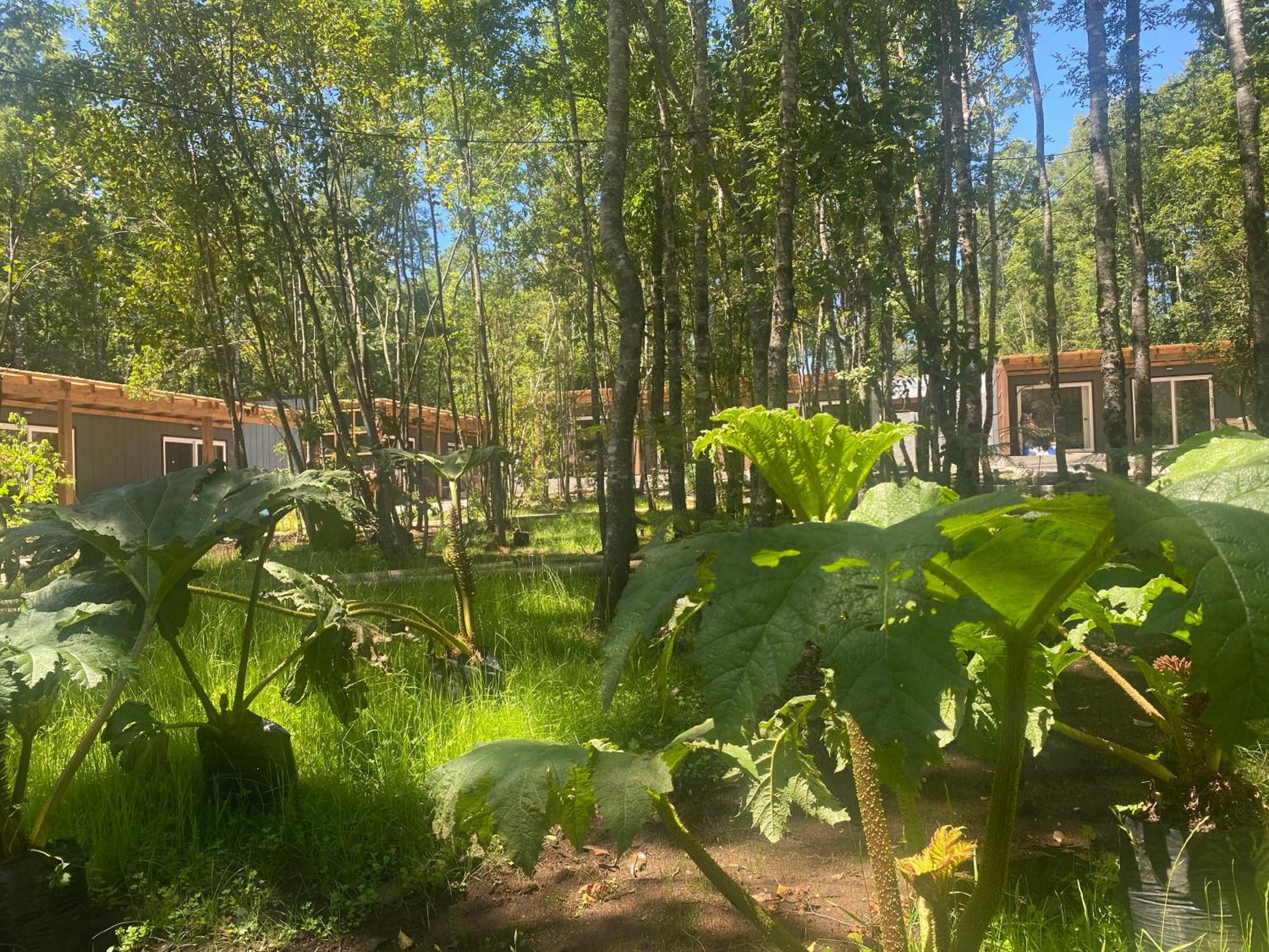 Boker Tov Pucon Hotel Buitenkant foto